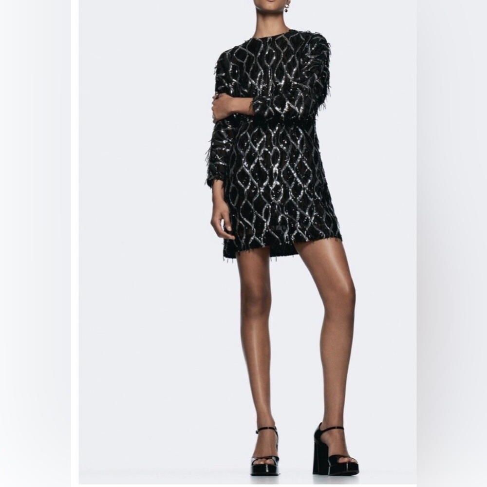 Zara Black and Silver Long Sleeve Fringe Style Mini Dress